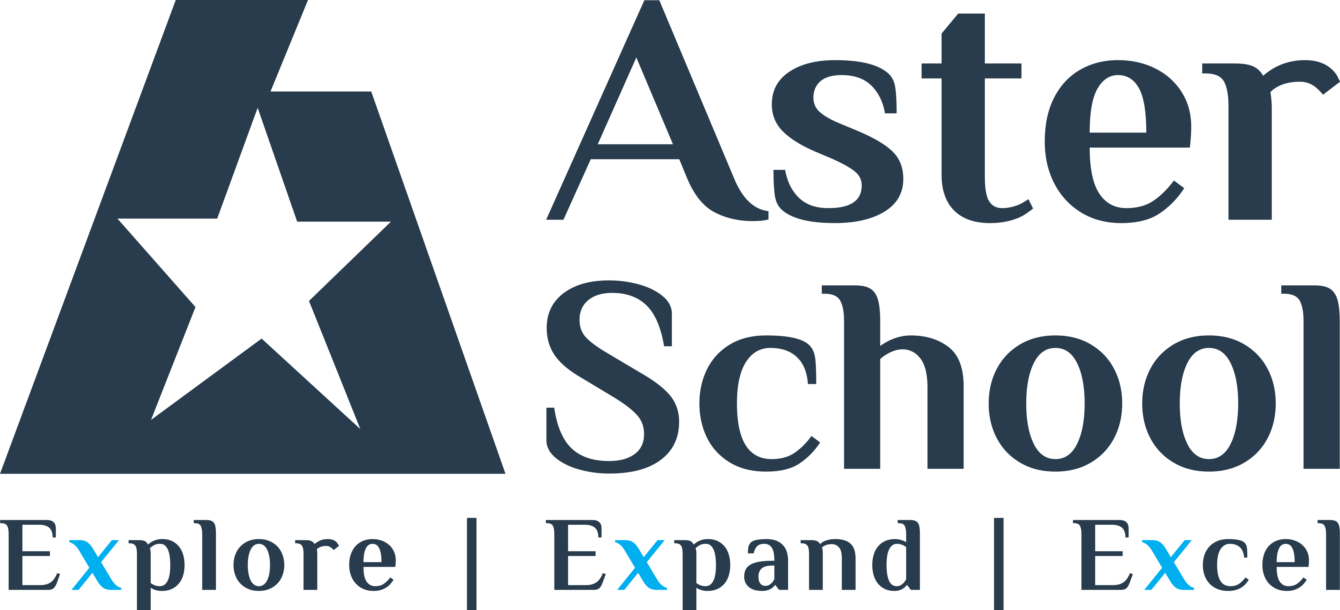 Aster Public School